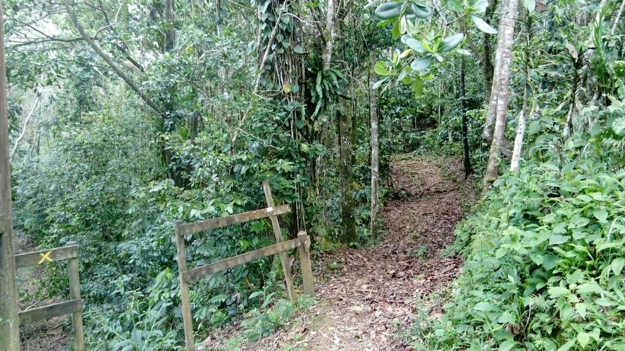 Dadi'S Little Paradis 圣罗斯 外观 照片